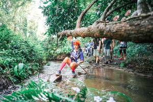 BIB: 
                            <button type="button" onclick="openModal(25514081)" class="btn btn-primary btn-sm float-right btn-popup" data-toggle="modal" data-target=".modal-high-quality">
                        <i class="fas fa-shopping-cart"></i> Add to Cart
                    </button>
                                            <button type="button" onclick="isThisMe(25514081, true)" class="btn btn-success btn-sm float-right btn-popup btn-isme hidden" data-toggle="tooltip" data-placement="bottom" title="นี่คือรูปของคุณใช่ไหม คลิกที่นี่เพื่อเอาเข้าอัลบั้ม">
                        <i class="fas fa-plus"></i> Add to album
                    </button>
                    <button type="button" onclick="isThisMe(25514081, false)" class="btn btn-warning btn-sm float-right btn-popup btn-isnotme hidden">
                        <i class="fas fa-ban"></i> Remove from album
                    </button>